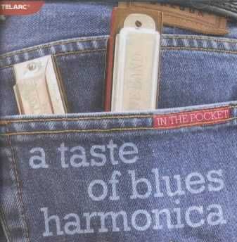 In The Pocket - A Taste Of Blues Harmonica - Various Artists (CD)