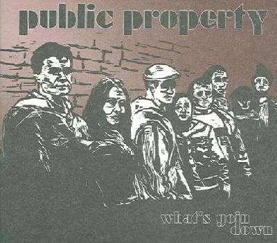 Public Property - (Import CD)