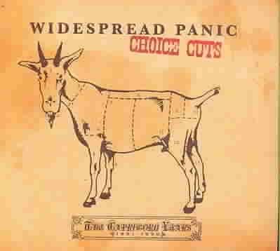Widespread Panic - Choice Cuts: The Capricorn Years 91-99 (CD)
