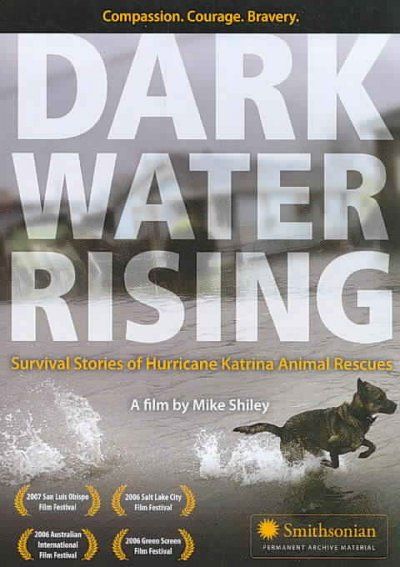 Dark Water Rising - (Region 1 Import DVD)