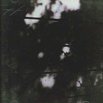 Limits of Painting and Poetry - (Import CD)