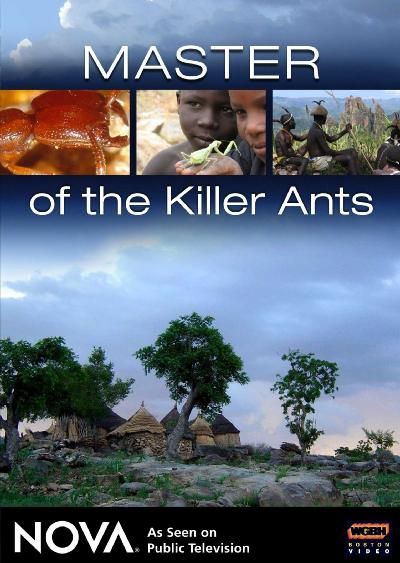Master of the Killer Ants - (Region 1 Import DVD)