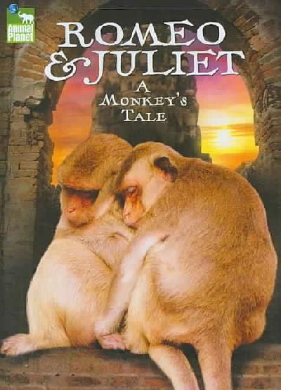 Romeo &amp; Juliet:Monkey Tale - (Region 1 Import DVD)