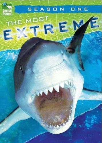 Most Extreme, Season 1 - (Region 1 Import DVD)