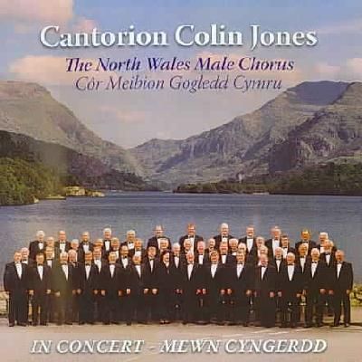 In Concert (CD / Album)
