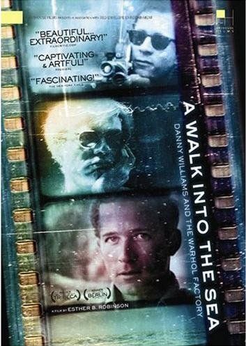 Walk into the Sea:Danny Williams and - (Region 1 Import DVD)