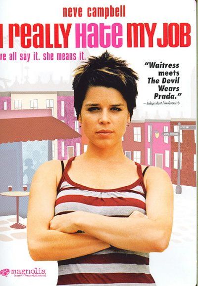 I Really Hate My Job - (Region 1 Import DVD)
