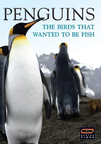 Penguins:Birds Who Wanted to Be Fish - (Region 1 Import DVD)