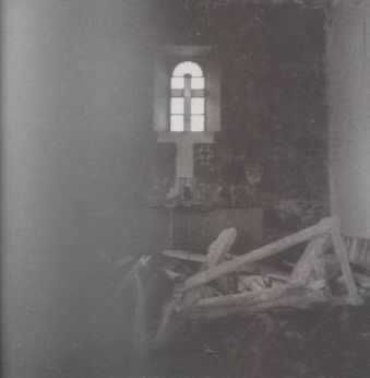 Peace &amp; Noise (CD)