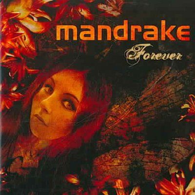 Forever (CD / Album)