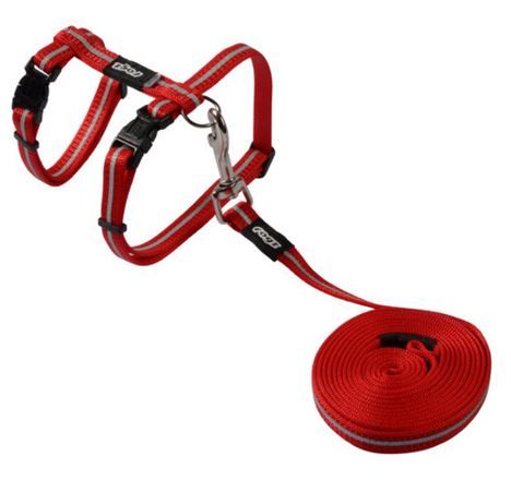 Rogz - 8mm AlleyCat Cat Lead/H-Harness
