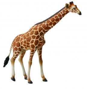 CollectA Reticulated Giraffe