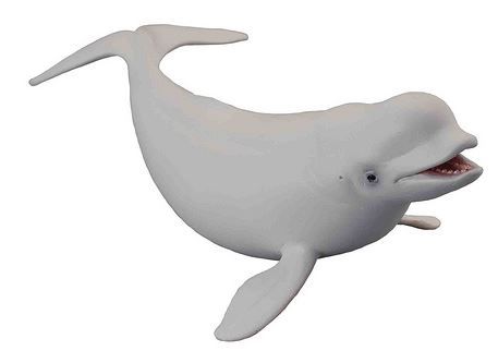 CollectA Beluga Whale