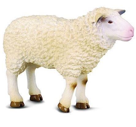 CollectA Sheep - Medium