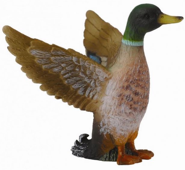 CollectA Mallard Duck Male - Small