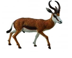 CollectA Springbok