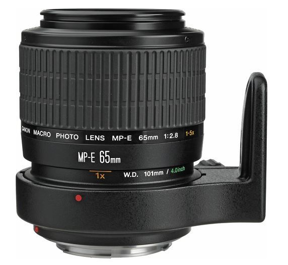Canon MP-E 65mm f 2.8 Macro Lens