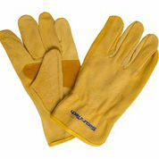 Securetech - Leather Glove - Size: 12
