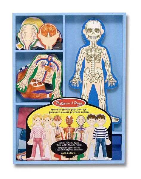 Melissa &amp; Doug Magnetic Human Body Play Set