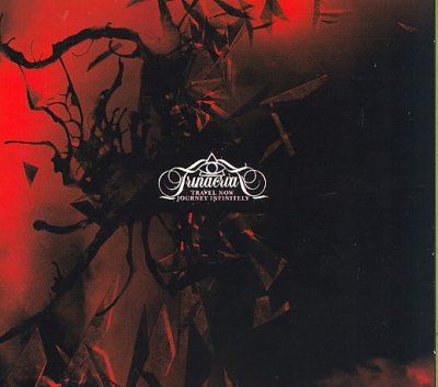 Travel Now Journey Infinitely - (Import CD)