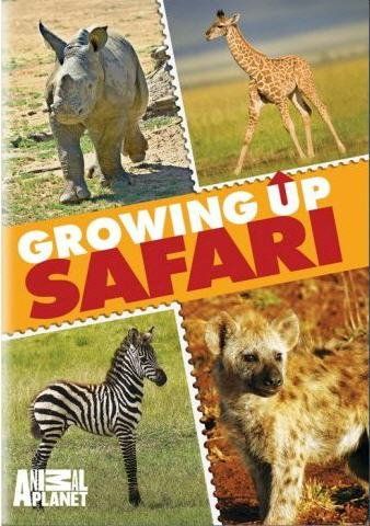 Growing up Safari - (Region 1 Import DVD)