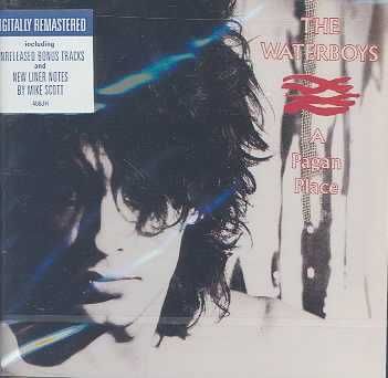 Waterboys, The - A Pagan Place - (EMI Import CD)