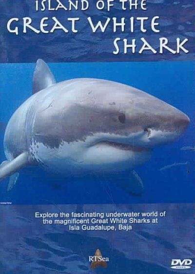 Island of the Great White Shark - (Region 1 Import DVD)