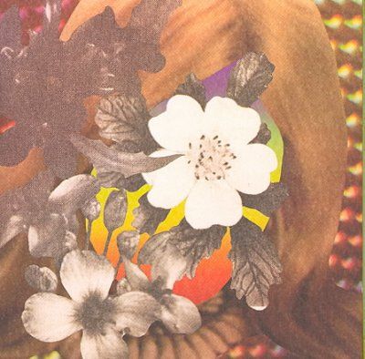 Tori/Neji - (Import CD)