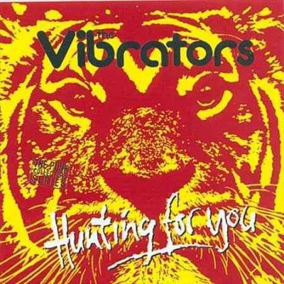 Vibrators - Hunting For You (CD)