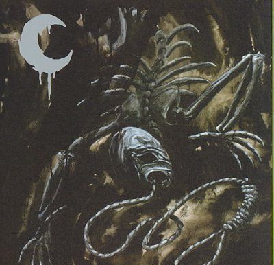 Silhouette in Splinters - (Import CD)