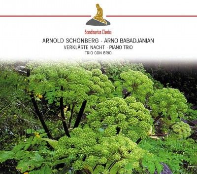 Schonberg:Verklarte Nacht - (Import CD)