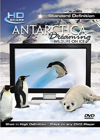 Antarctica Dreaming:Wildlife on Ice - (Region 1 Import DVD)