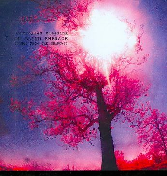 In Blindembrace - (Import CD)