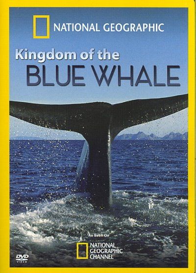 Kingdom of the Blue Whale - (Region 1 Import DVD)