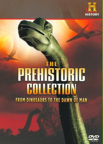 Prehistoric Collection:from Dinosaurs - (Region 1 Import DVD)