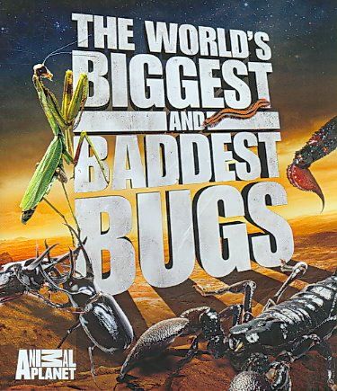 World's Biggest and Baddest Bugs - (Region A Import Blu-ray Disc)