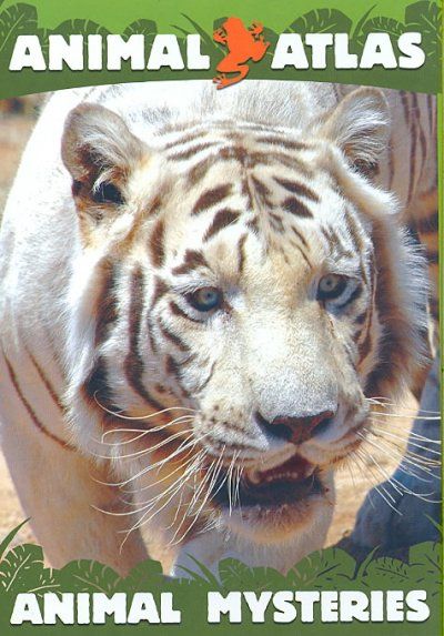 Animal Atlas:Animal Mysteries - (Region 1 Import DVD)
