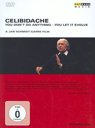 You Don't Do Anything:You Let It Evol - (Region 1 Import DVD)