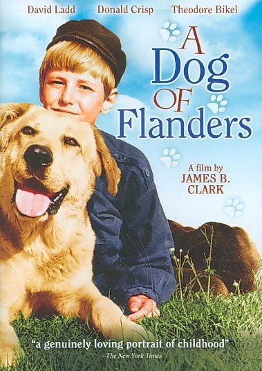 Dog of Flanders - (Region 1 Import DVD)