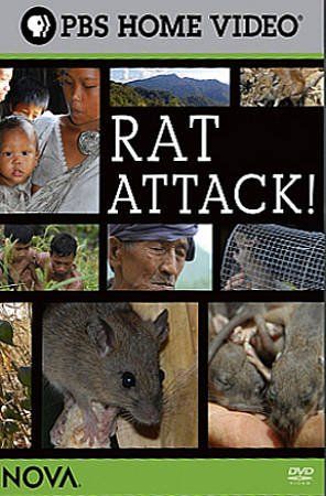Rat Attack - (Region 1 Import DVD)