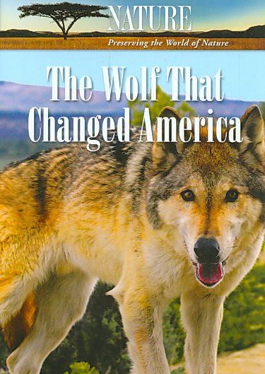 Nature:Wolf That Changed America - (Region 1 Import DVD)