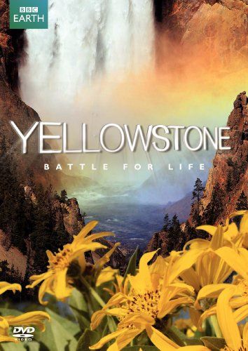 Yellowstone:Battle for Life - (Region 1 Import DVD)