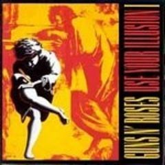 Use Your Illusion I (CD)