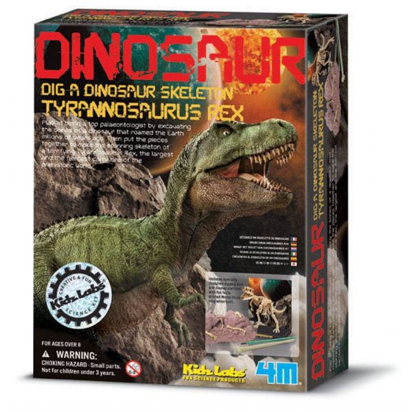 4M Tyrannosaurus Rex Skeleton