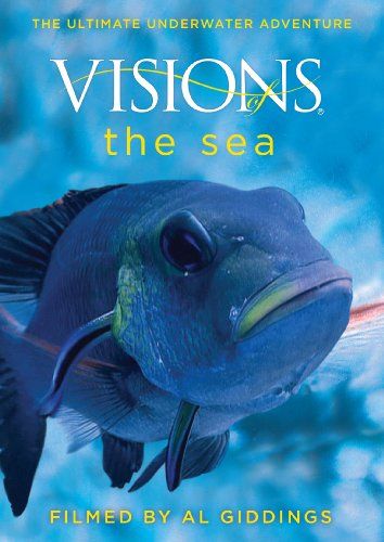 Visions of the Sea - (Region 1 Import DVD)