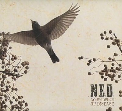 Ned - (Import CD)