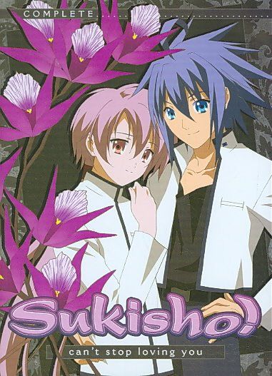 Sukisho:Complete Collection - (Region 1 Import DVD)
