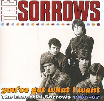 Youve Got What I Want:Essential Sorro - (Import CD)