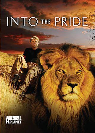 Into the Pride - (Region 1 Import DVD)