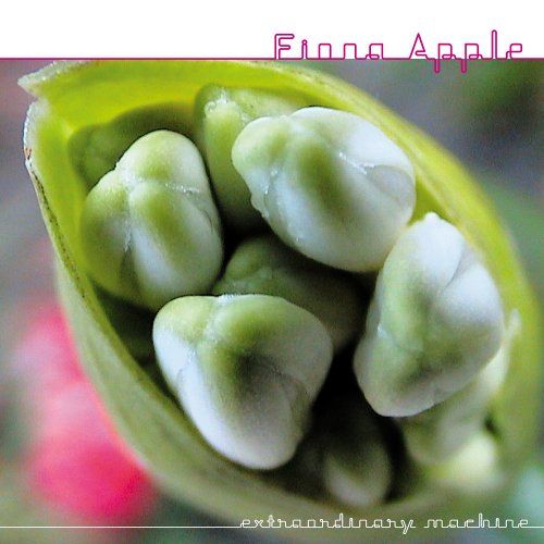 Fiona Apple - Extraordinary Machine (CD with Bonus DVD)